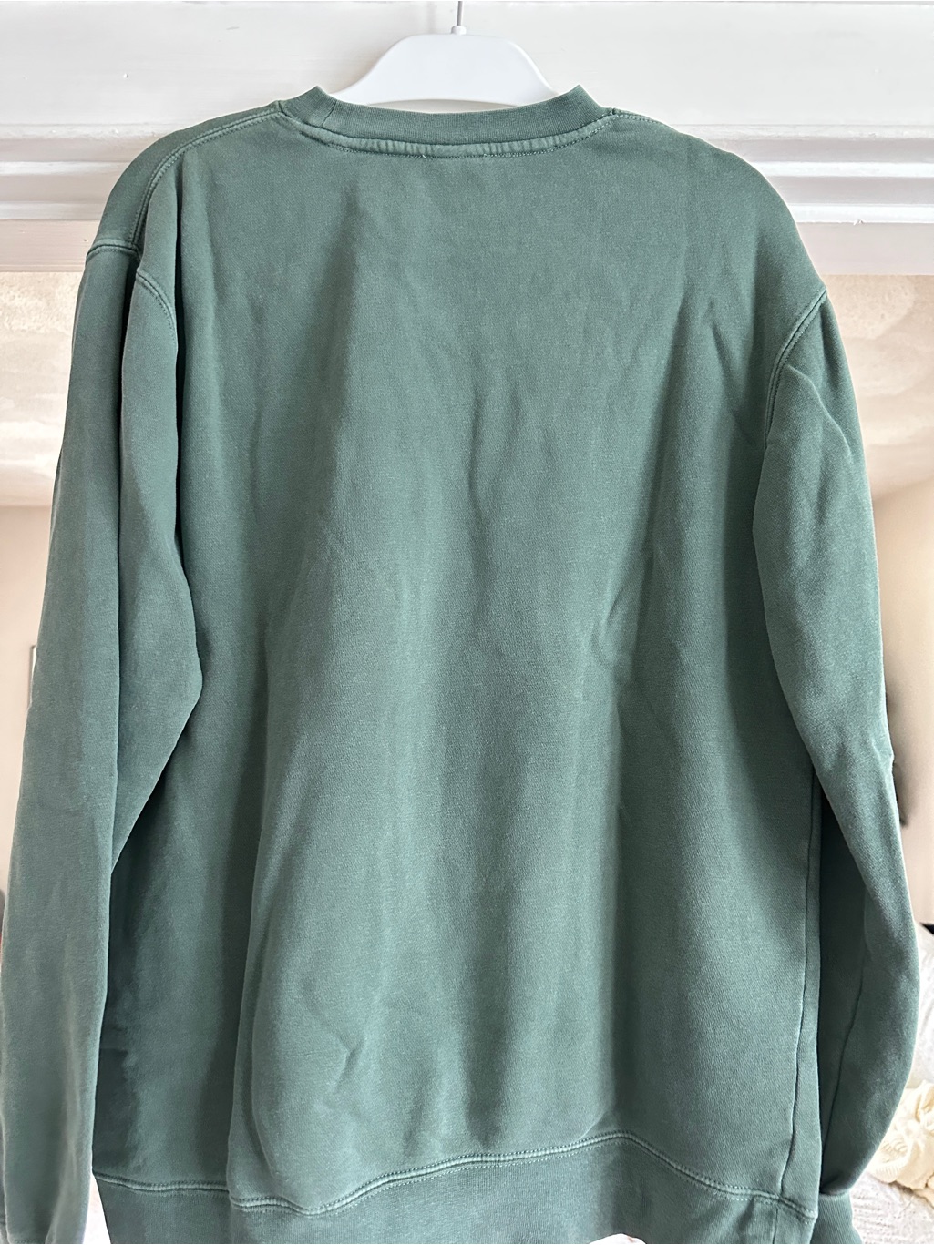 Classic Crewneck Sweatshirt In Sage Green — image 5 of 7